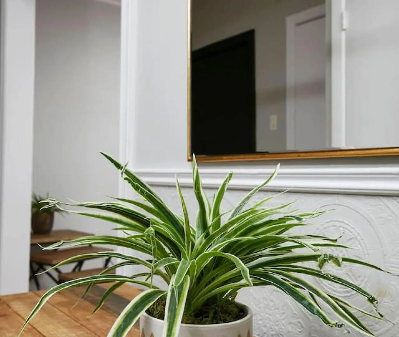 Beautiful 2Br On Walkley Apartment Montreal